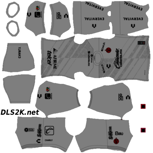 https://dls2k.net/wp-content/uploads/2026/02/8L9A.png