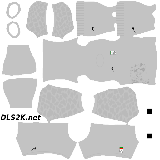 https://dls2k.net/wp-content/uploads/2026/06/2XER.png